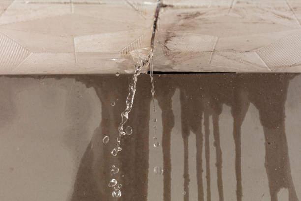 Professional Water Damage Inspection technician working in North Miami Beach, FL